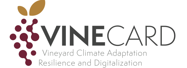 VineCARD